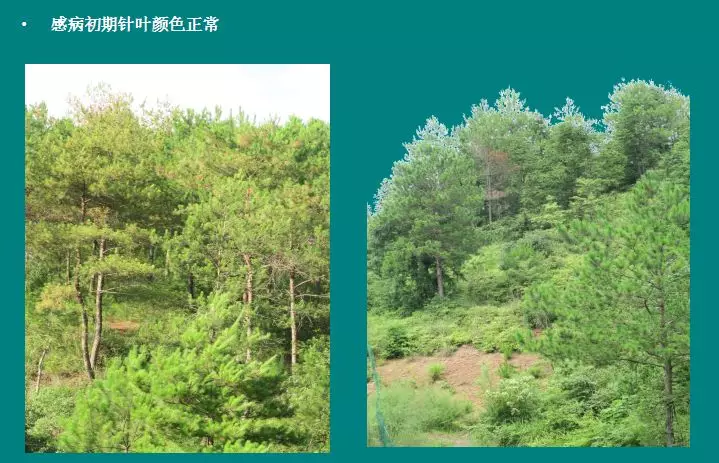 图片5.png