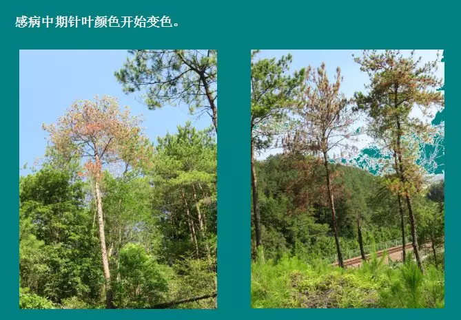 图片6.png