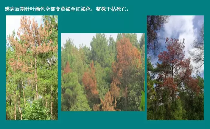 图片7.png