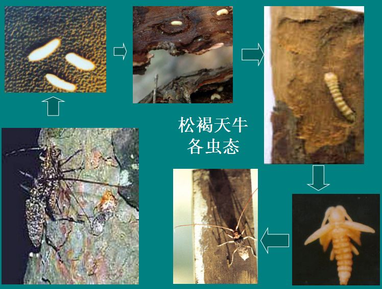 图片10.png