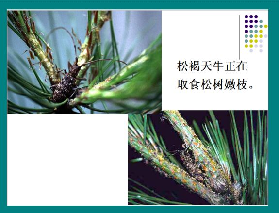 图片11.png