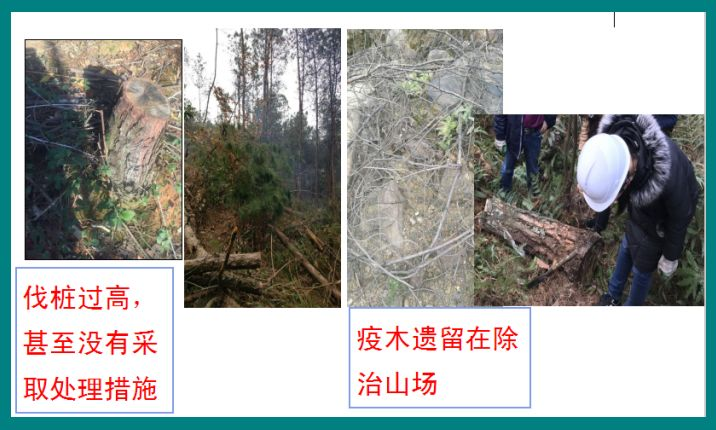 图片13.png