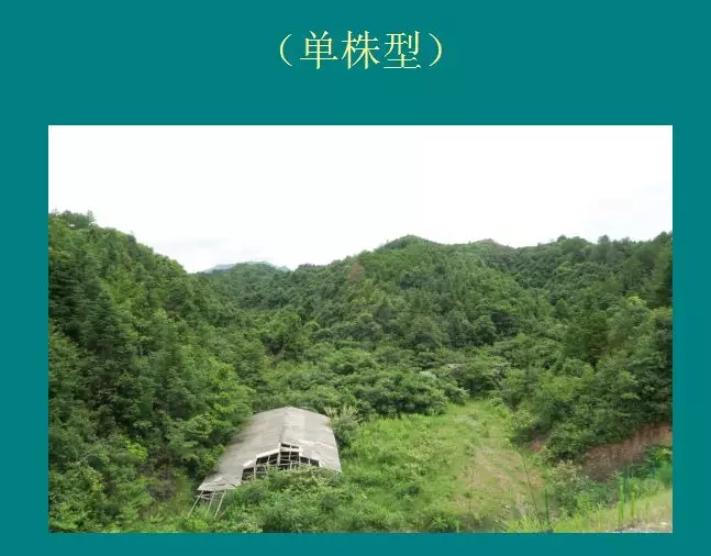 图片17.png