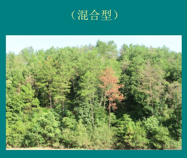 图片18.png