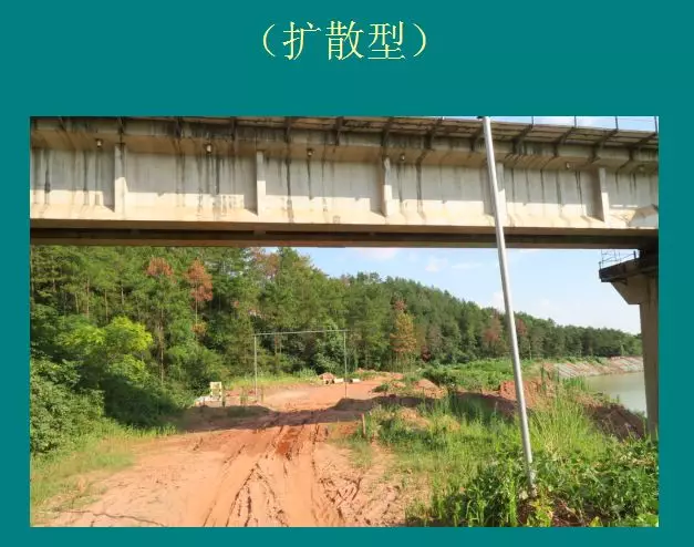 图片19.png