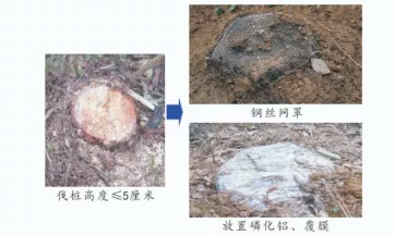图片21.png