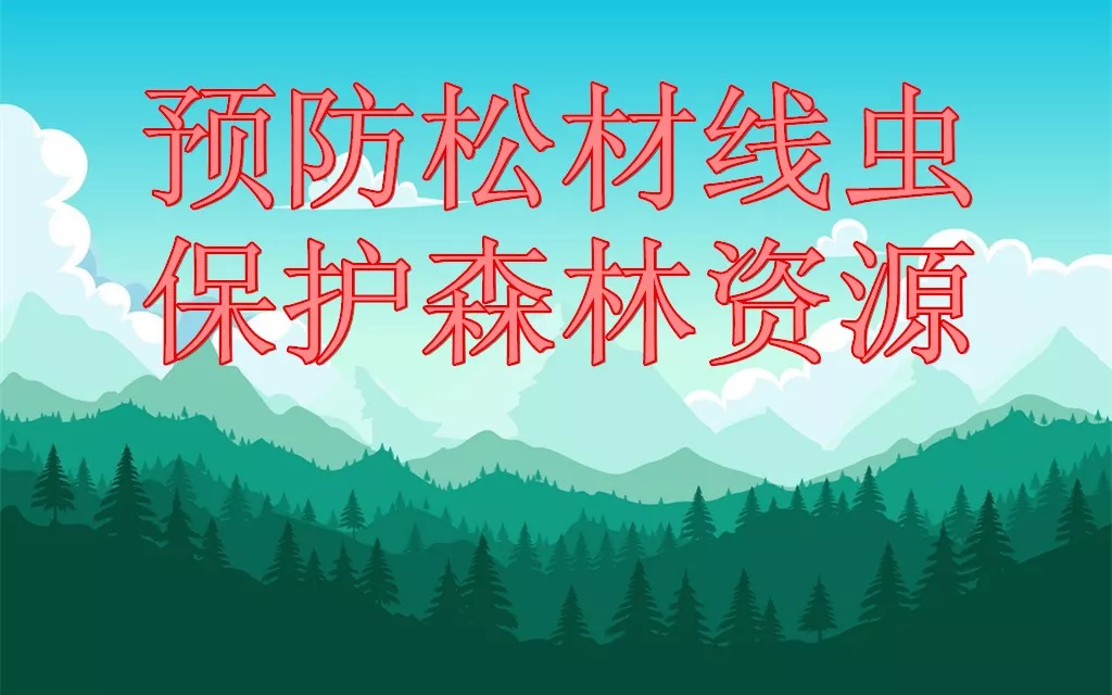 图片26.png