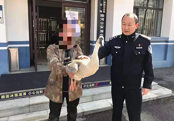 图片3.png