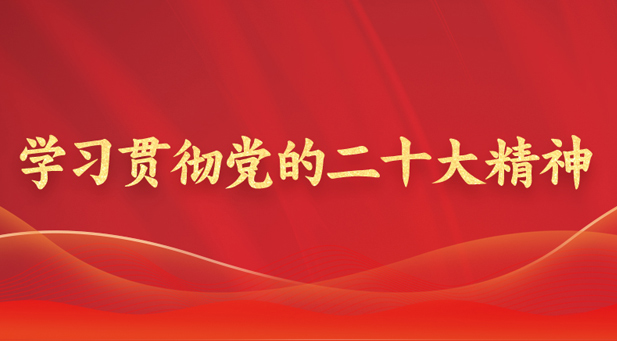 学习贯彻党的二十大精神
