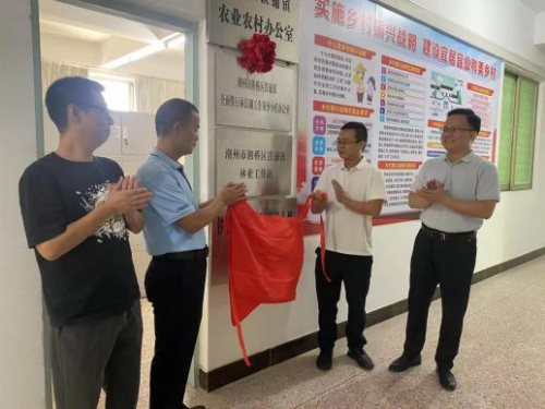 已编辑图片