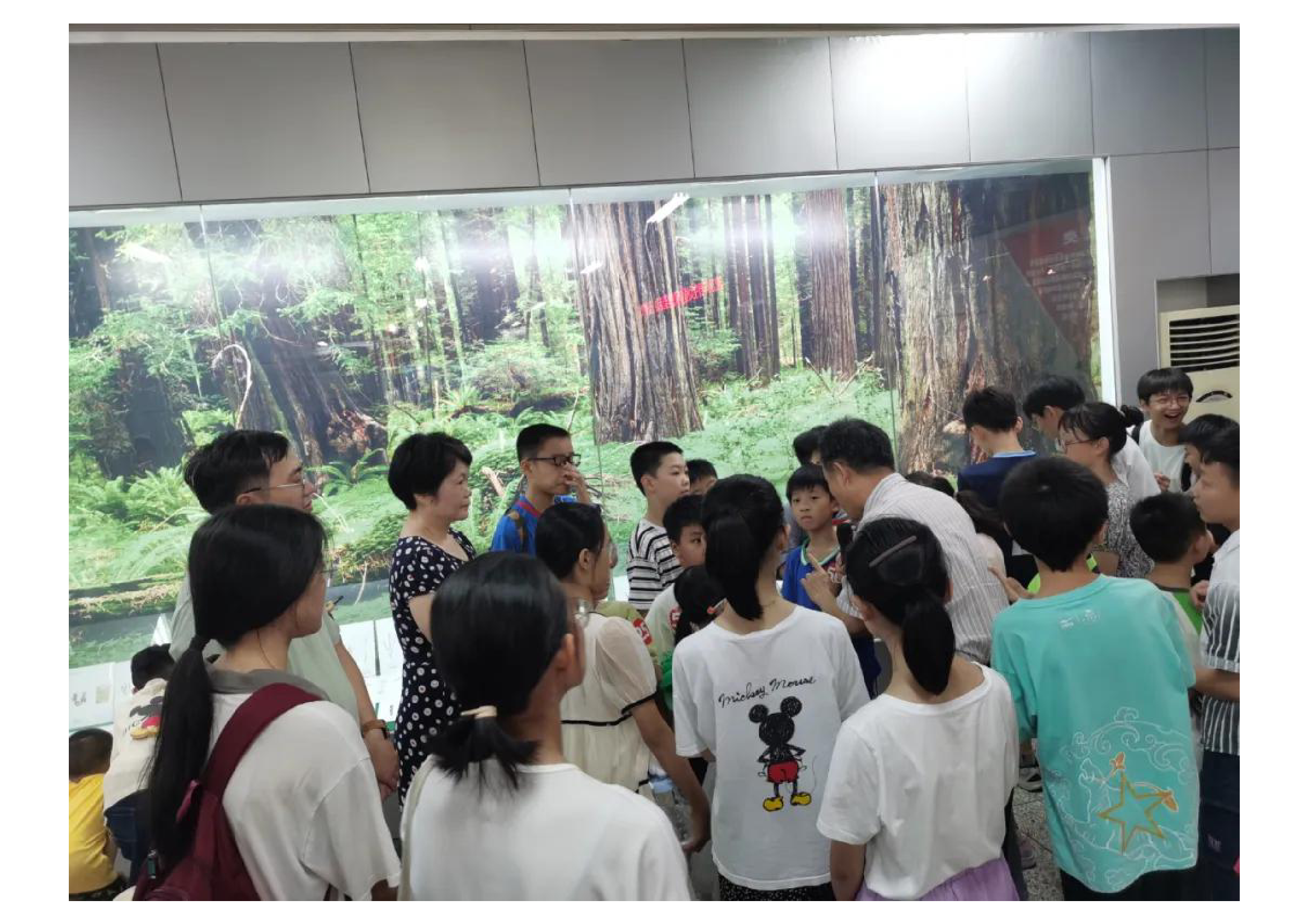 下载 (1).png