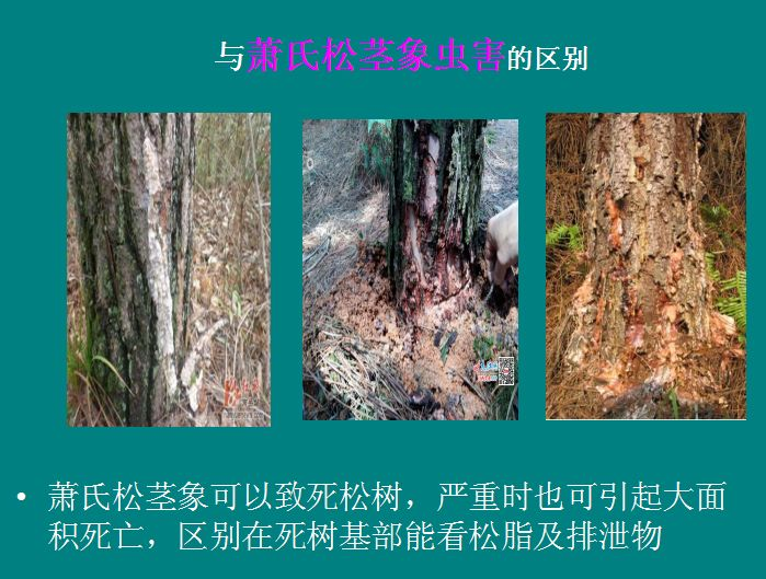 图片16.png