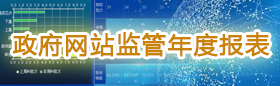 政府網(wǎng)站監(jiān)管年度報表