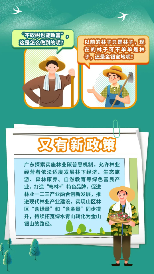 图片八.png