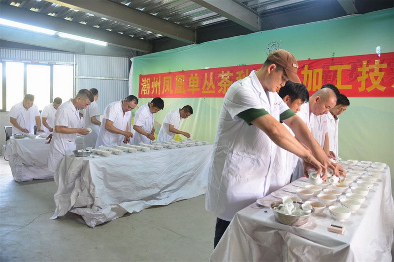 图片6.jpg