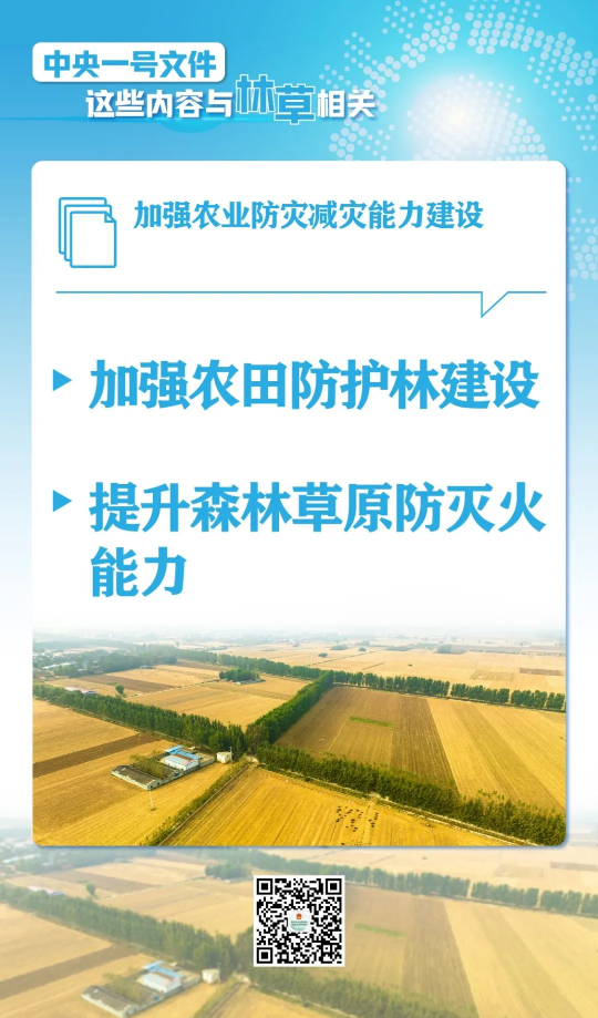 4672281(4).png