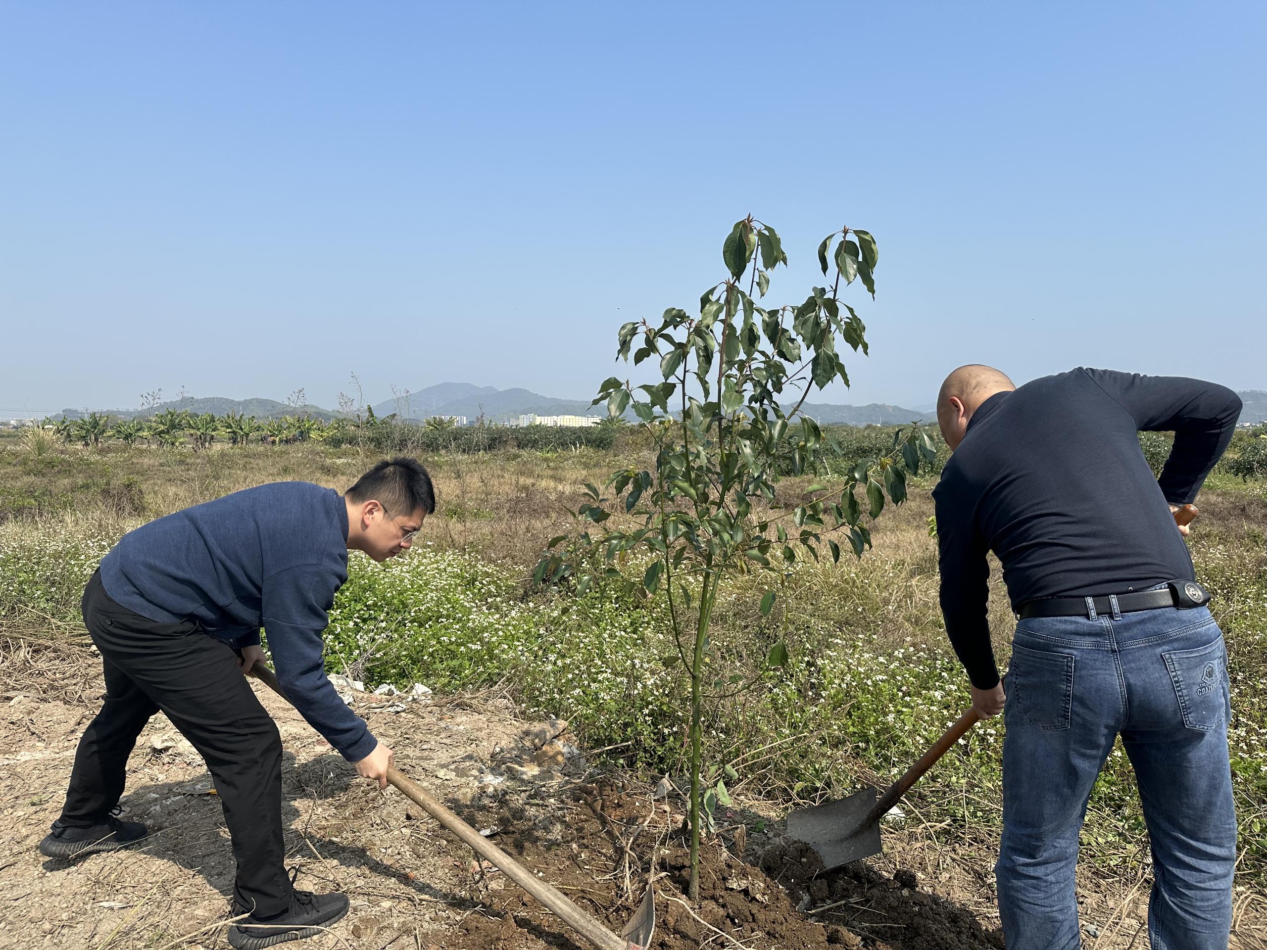 在湘桥区铁铺镇坎下村开展植树活动.jpg