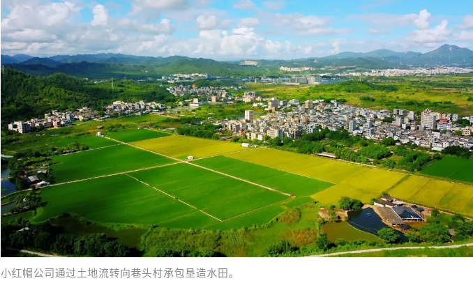 湘桥区官塘镇激发高质量发展“镇”能量 引领产业与环境双升级.doc_4