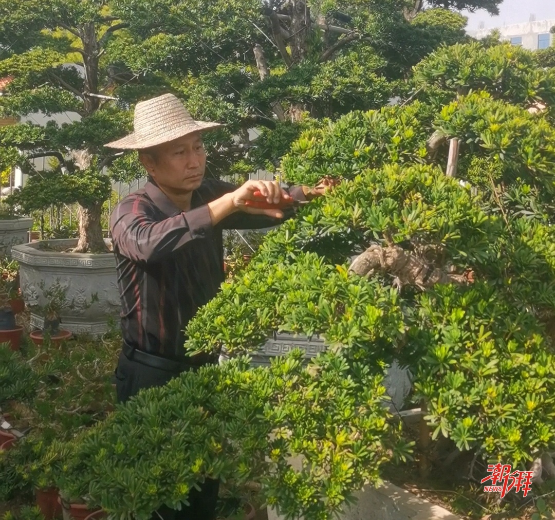 花农_副本.jpg