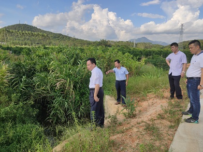 图3现场指导420.jpg