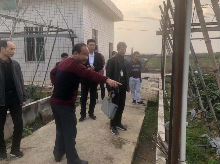 市农业农村局开展春节前农产品质量安全联合检查行动1.jpg