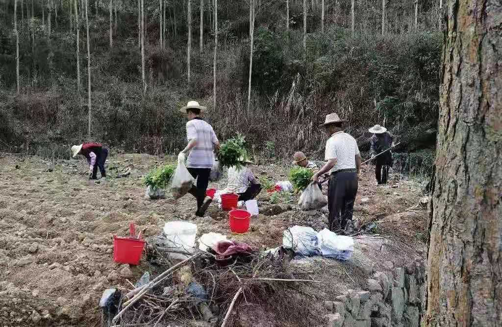 图片3.png