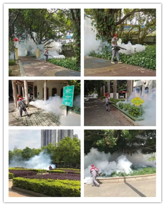 20210507潮州市卫生健康局组织开展第33个爱国卫生月系列活动19ok.jpg