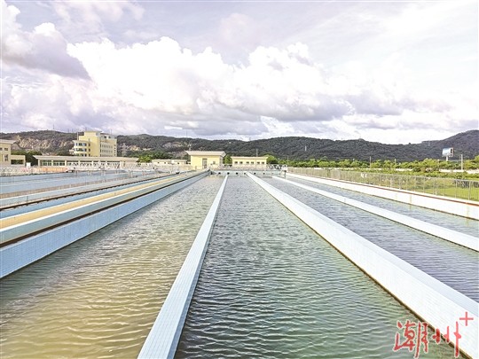 PG电子网址从“有水喝”到“喝好水”——浙江高质量建设单村水站推进农村供水现代化