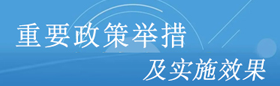 重要政策舉措及實(shí)施效果