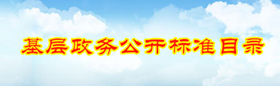 基層政務(wù)公開標(biāo)準(zhǔn)目錄