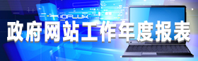 政府網(wǎng)站工作年度報表